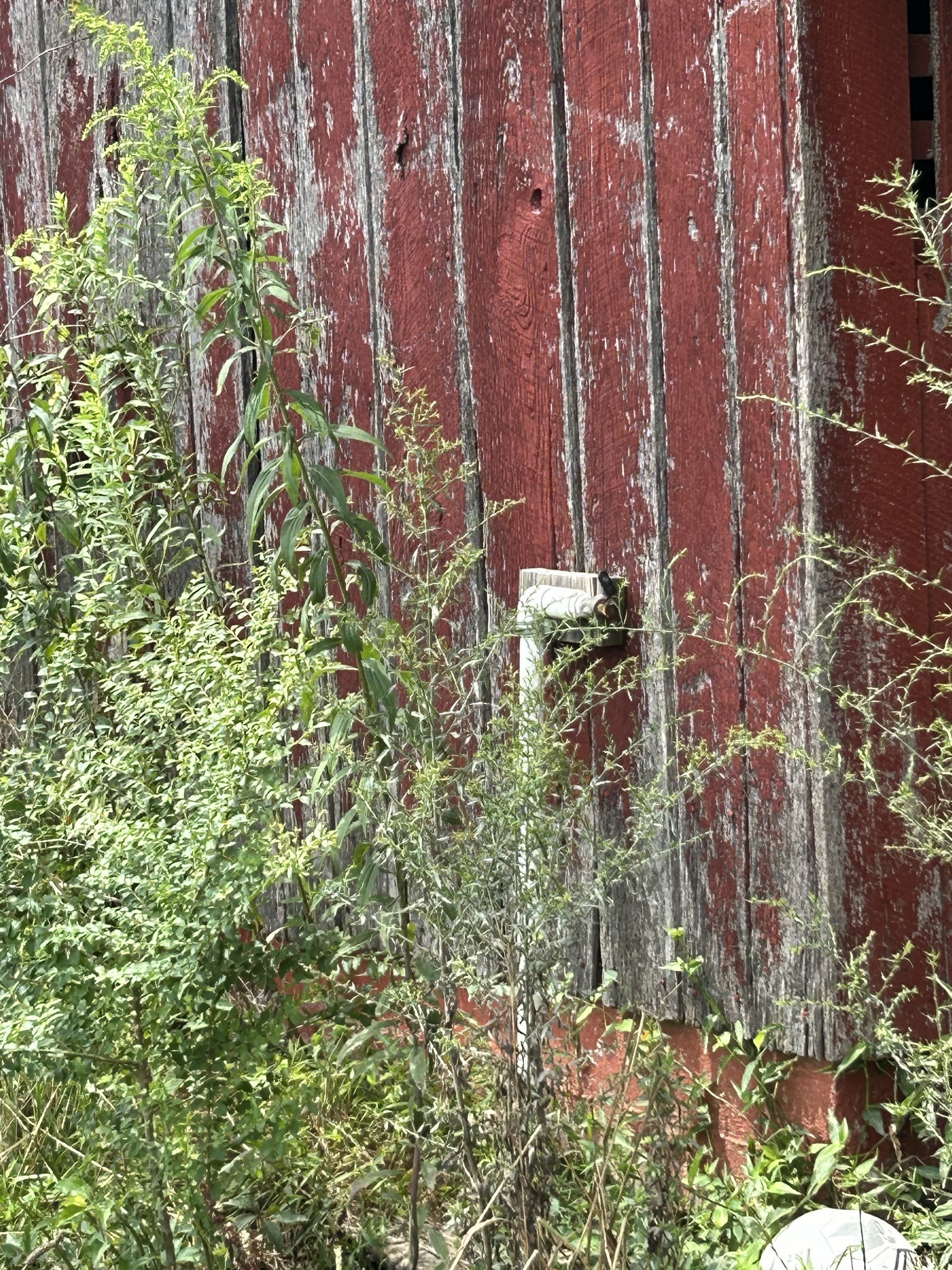 740 Moores College Rd