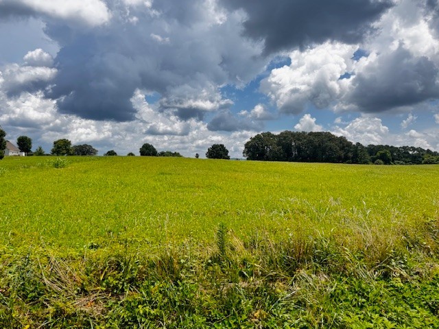 0 Old Holders Cove Rd