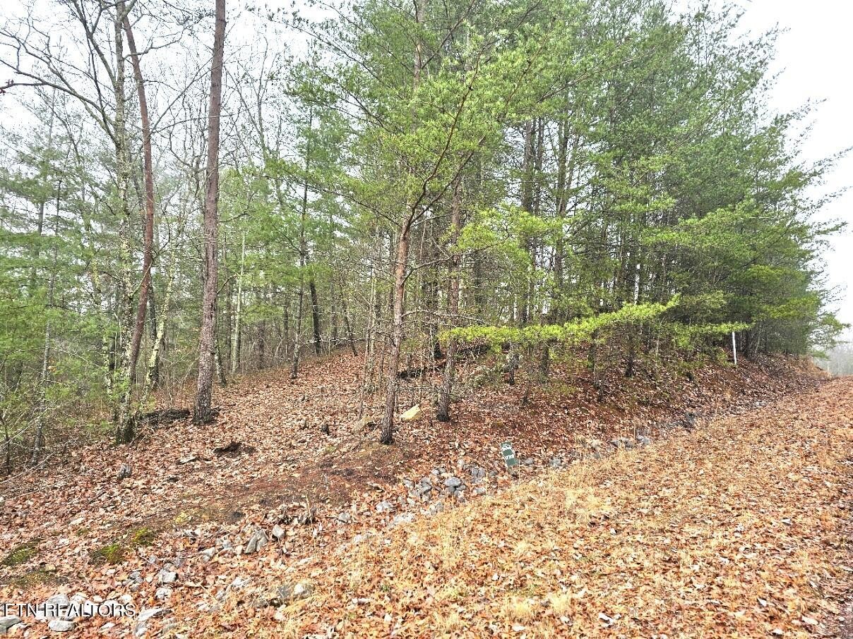 514 Percussion Court