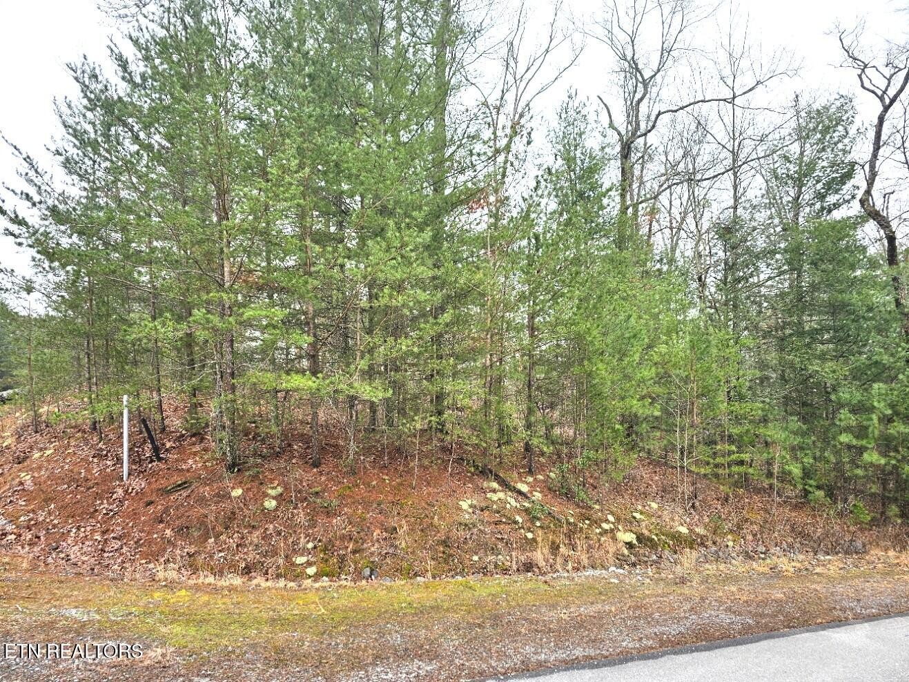 514 Percussion Court