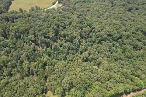 0 Webb Rd Ext Summertown TN 38483