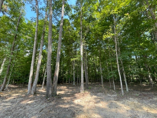 200 Beechwood Ct