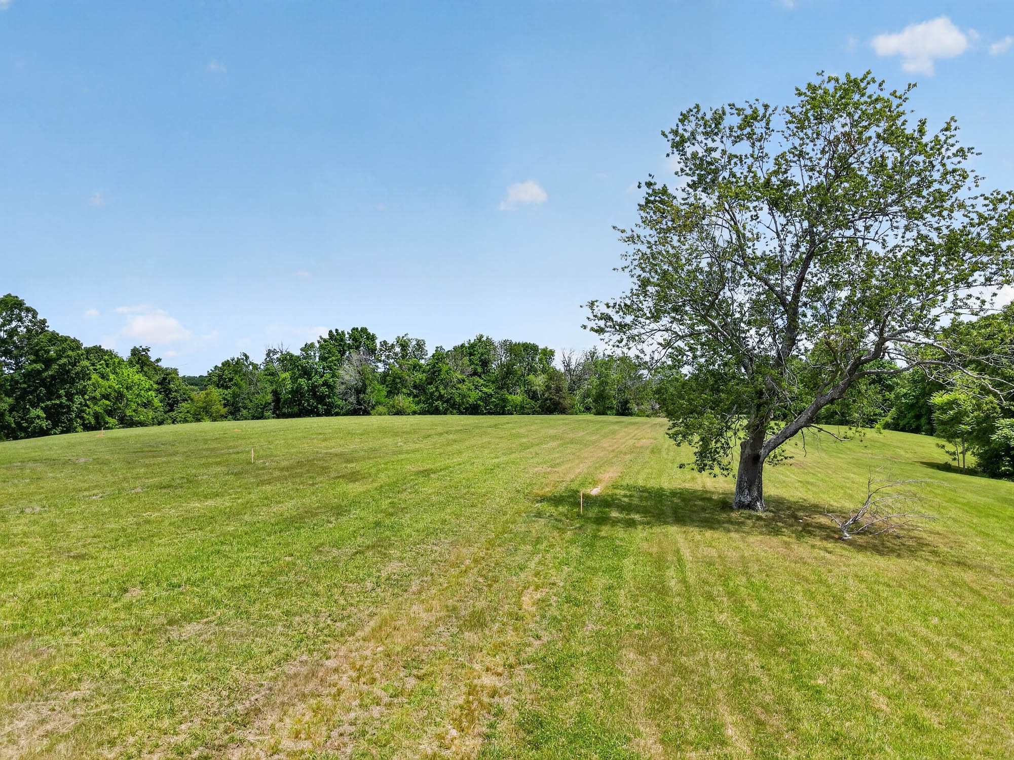 7393 S Harpeth Rd