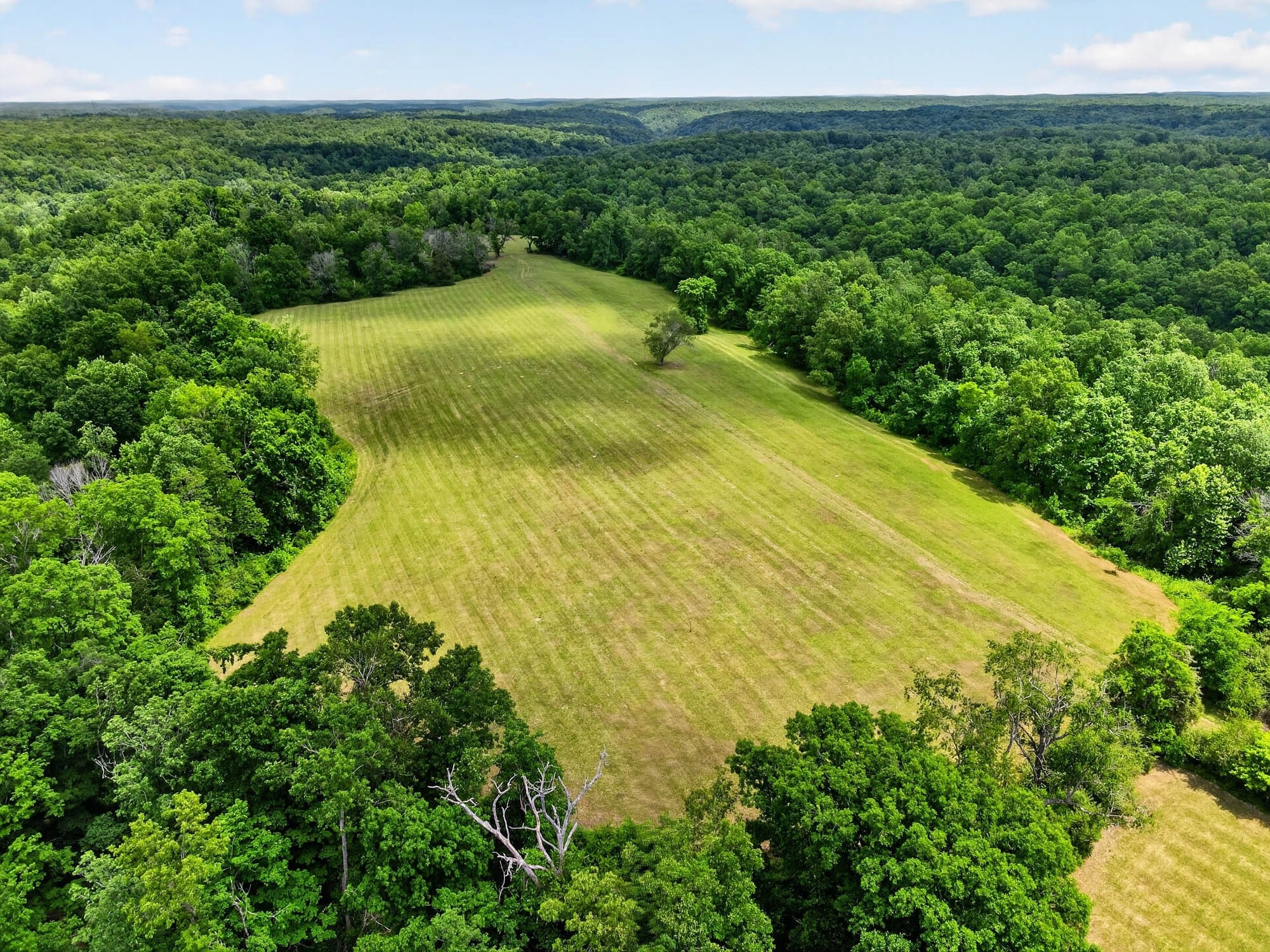 7393 S Harpeth Rd, Franklin TN 37064 0-bed lot, photo 9 of 27
