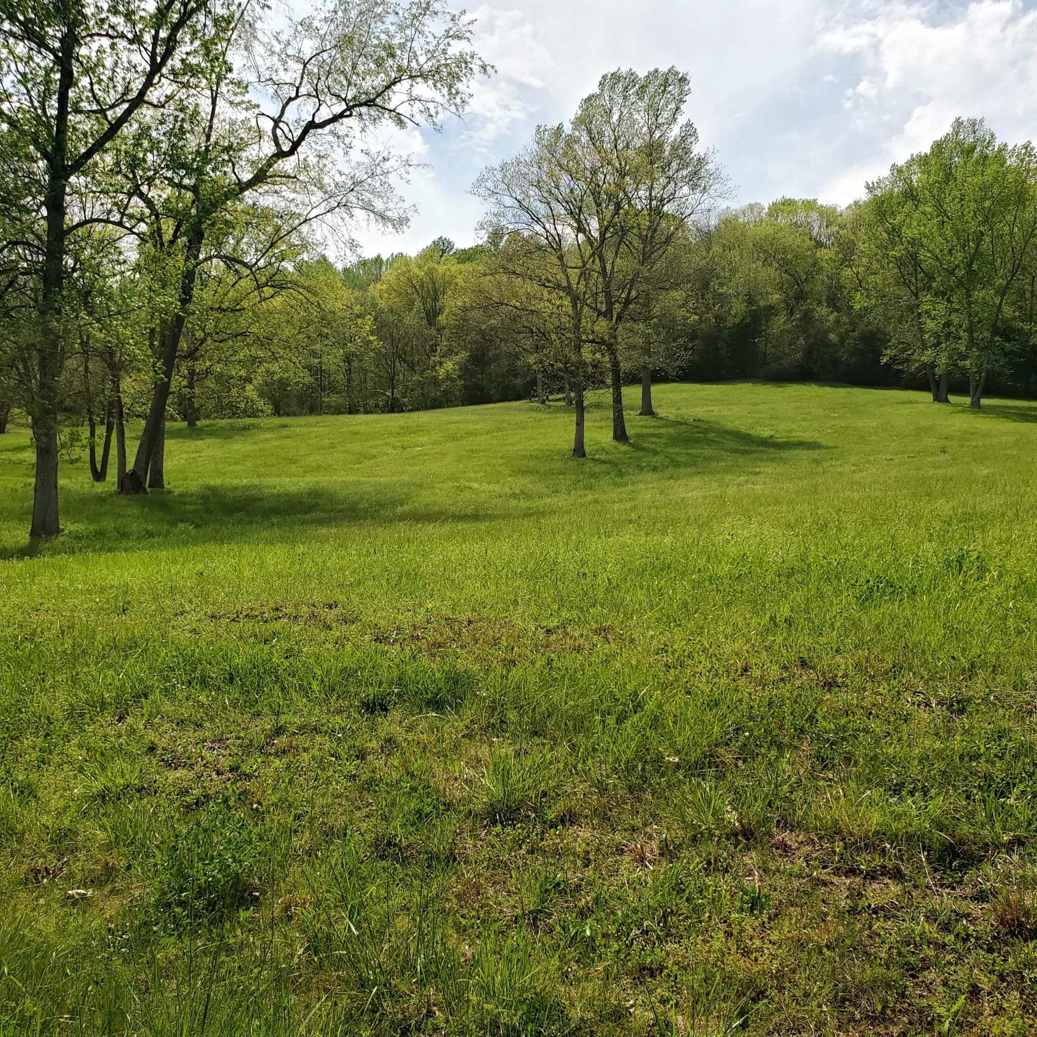 7412 River Road Pike