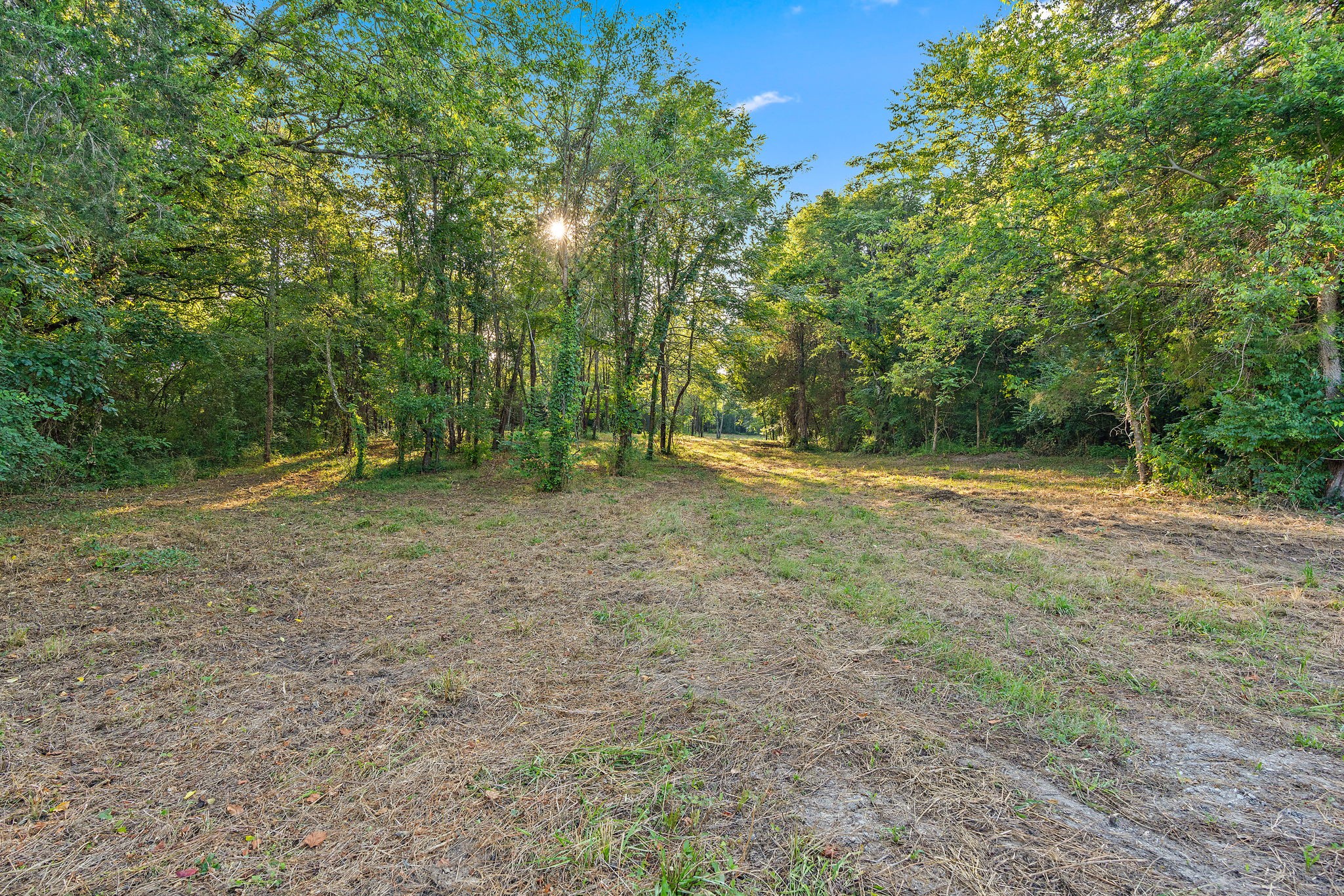 2821 Double Branch Rd