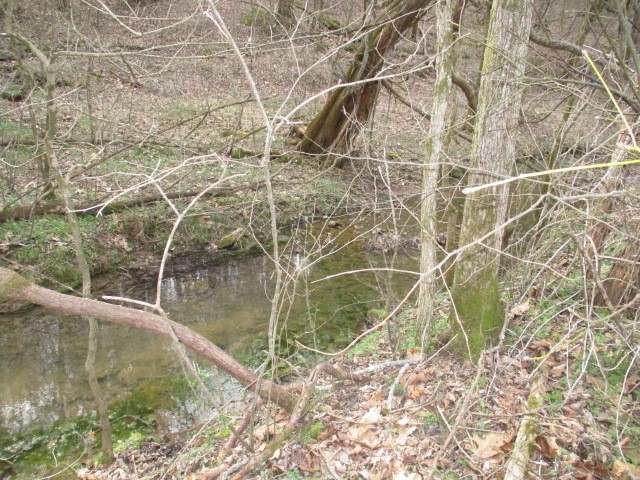 0 Rogues Fork Creek Road