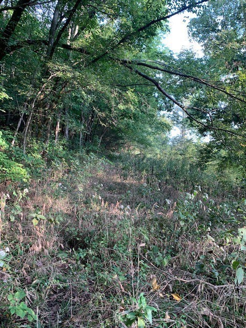 340 Cortner Hollow Rd