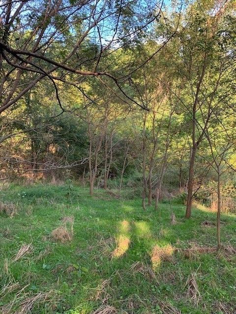 340 Cortner Hollow Rd Petersburg TN 37144