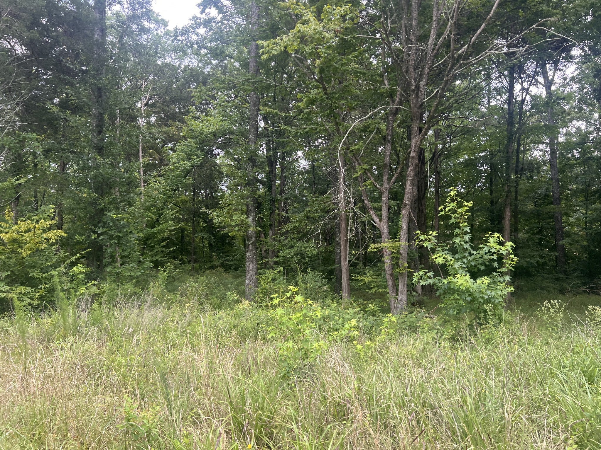 4 Toms Creek Lake Rd