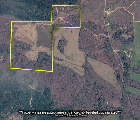 0 Mt Carmel Road Decaturville TN 38329