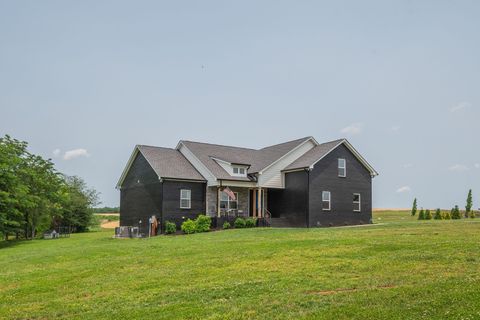 29490 Highway 49 E Orlinda TN 37141