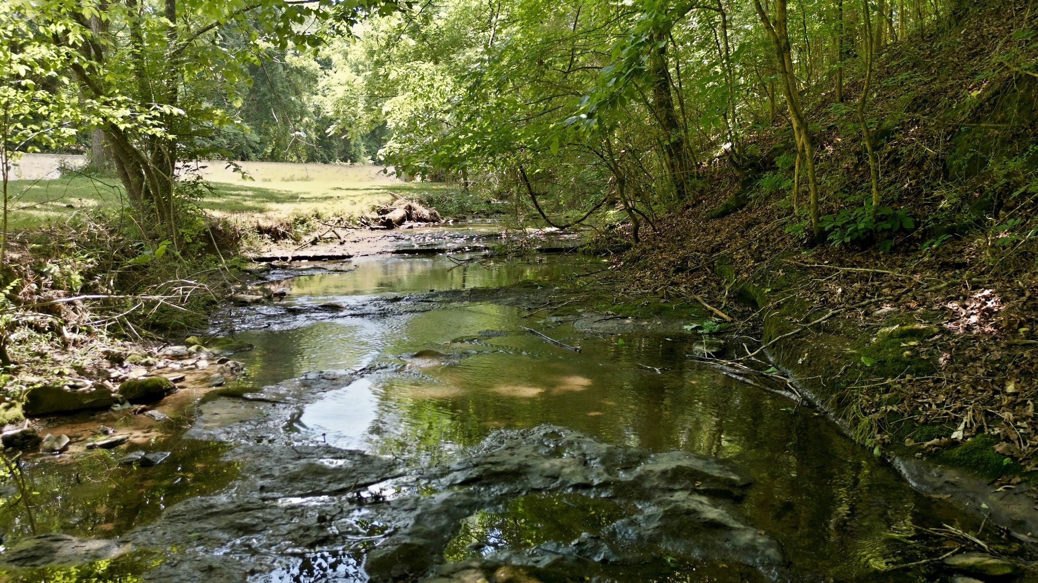 0 Franklin Rd
