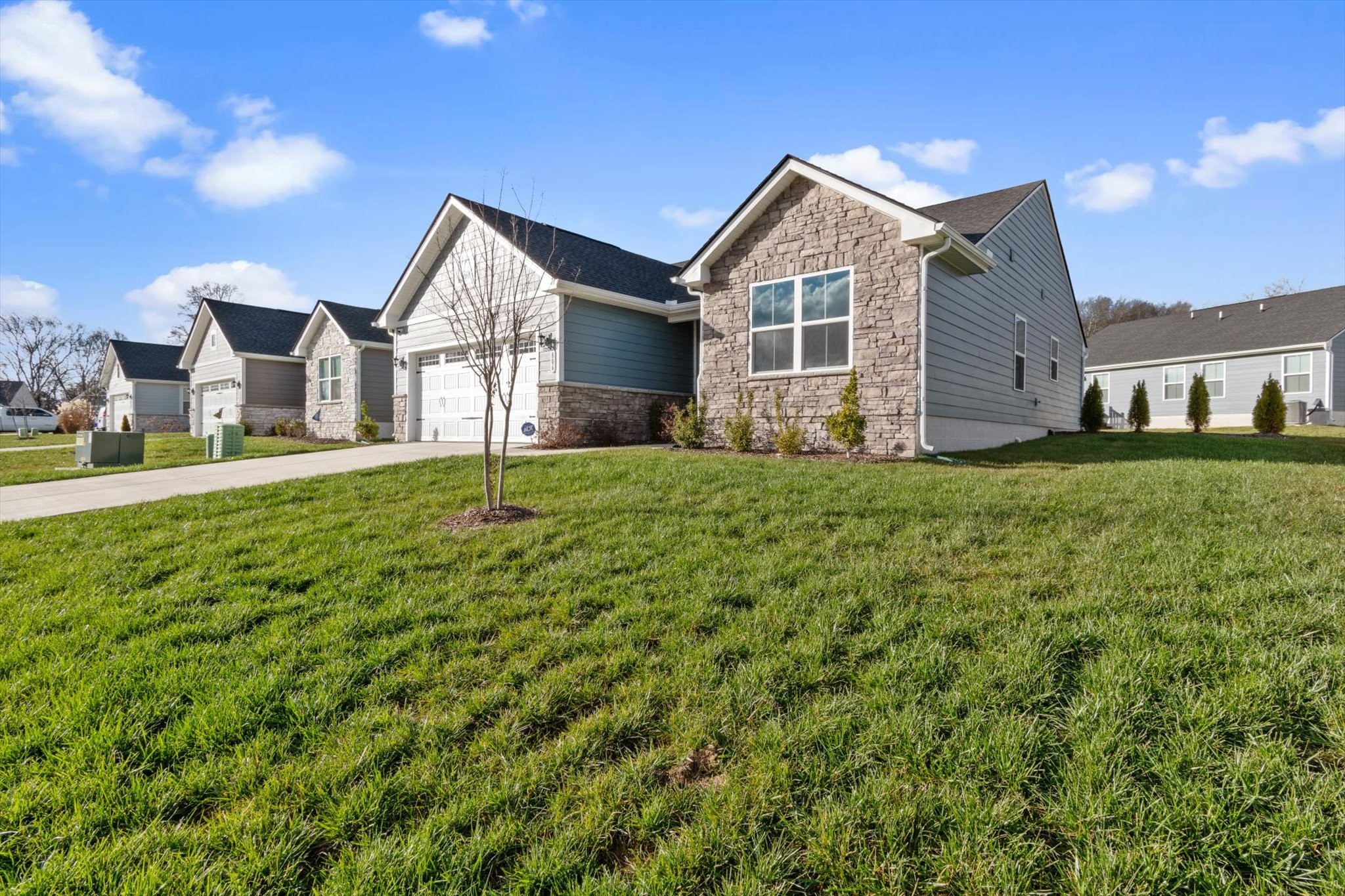 806 Rae Dr