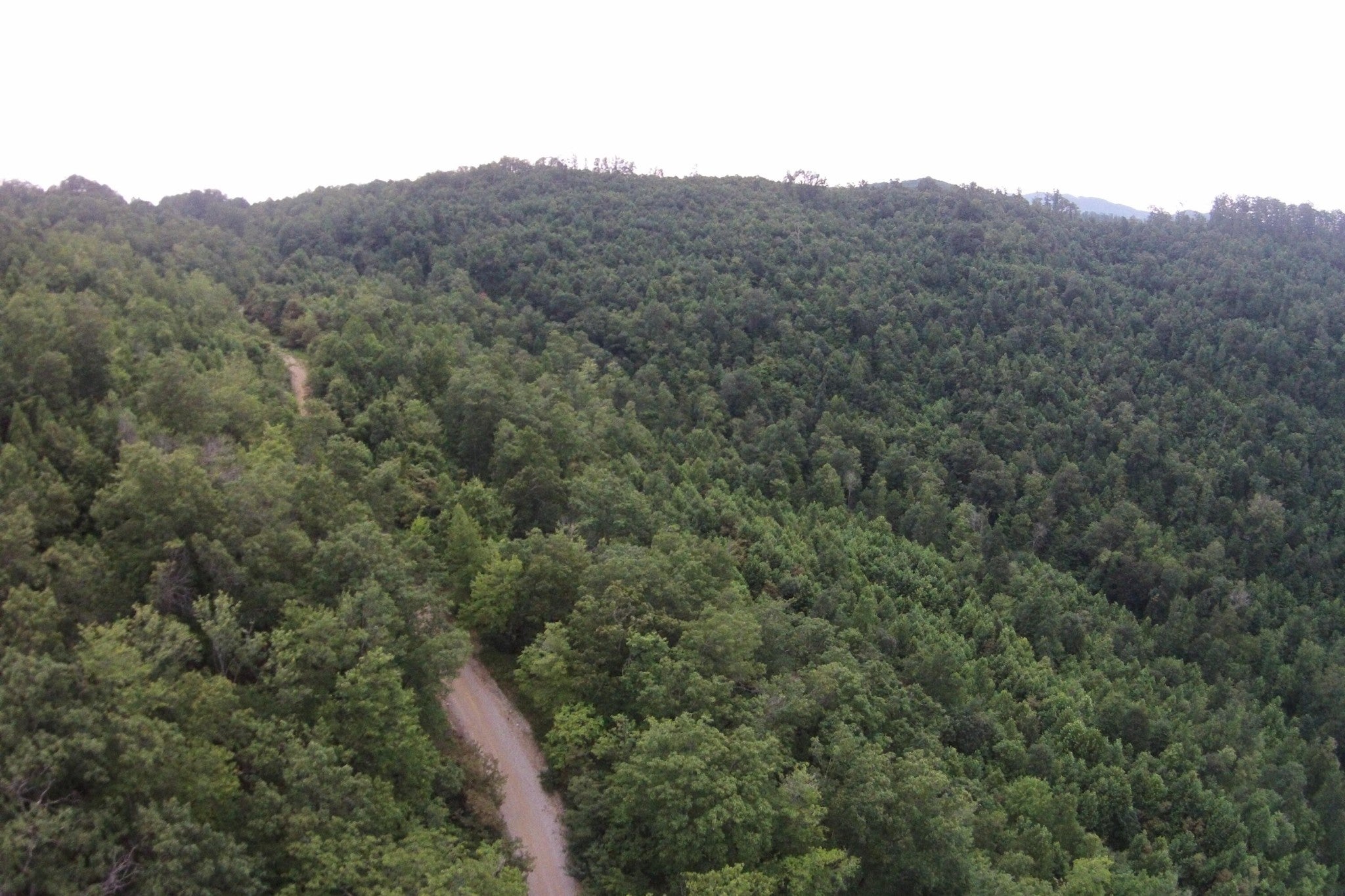 1 Straight Fork Road