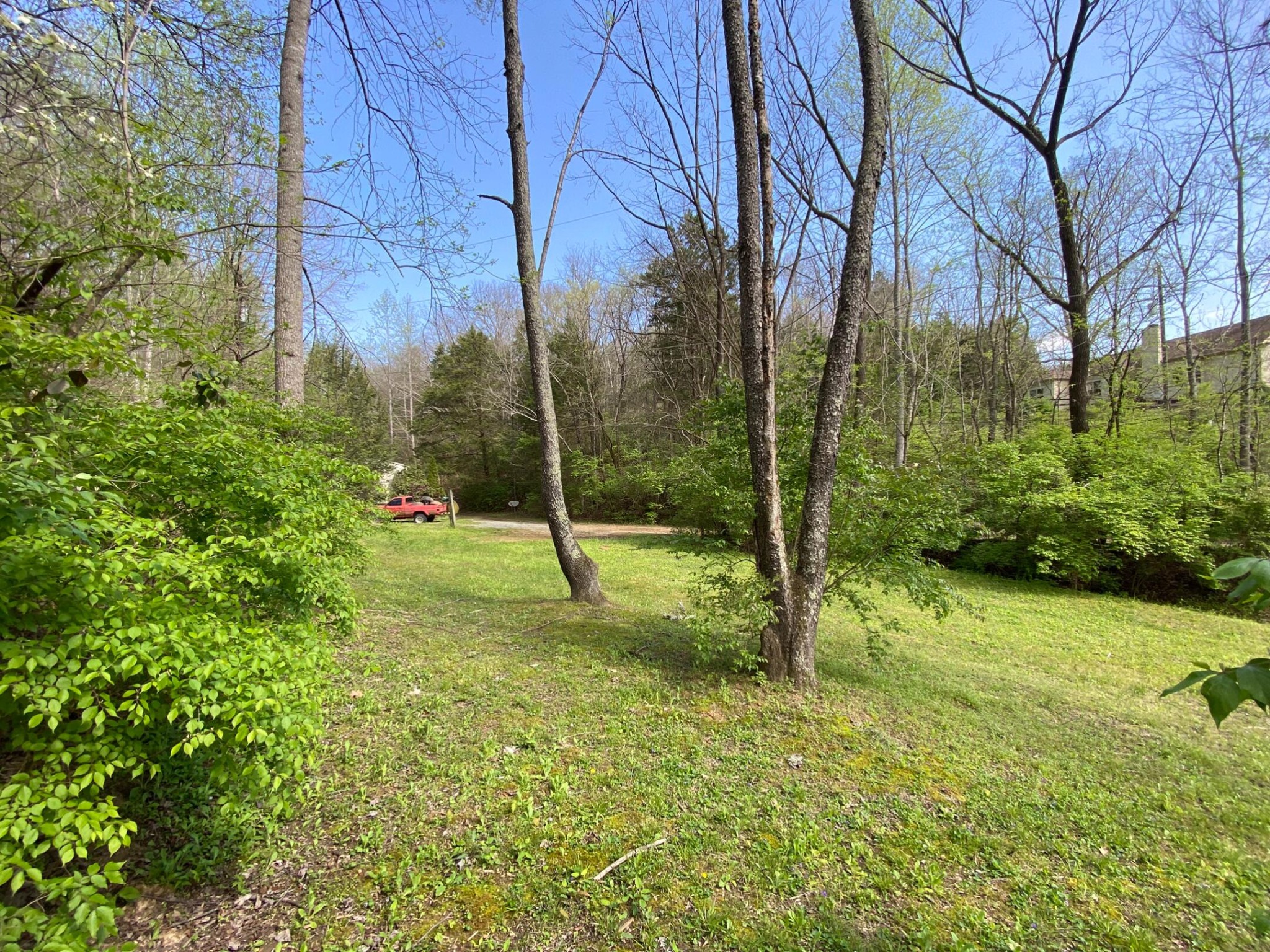 8552 Cub Creek RD
