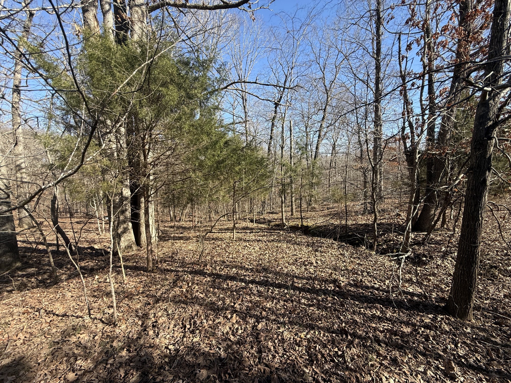 20 Backwoods Estates