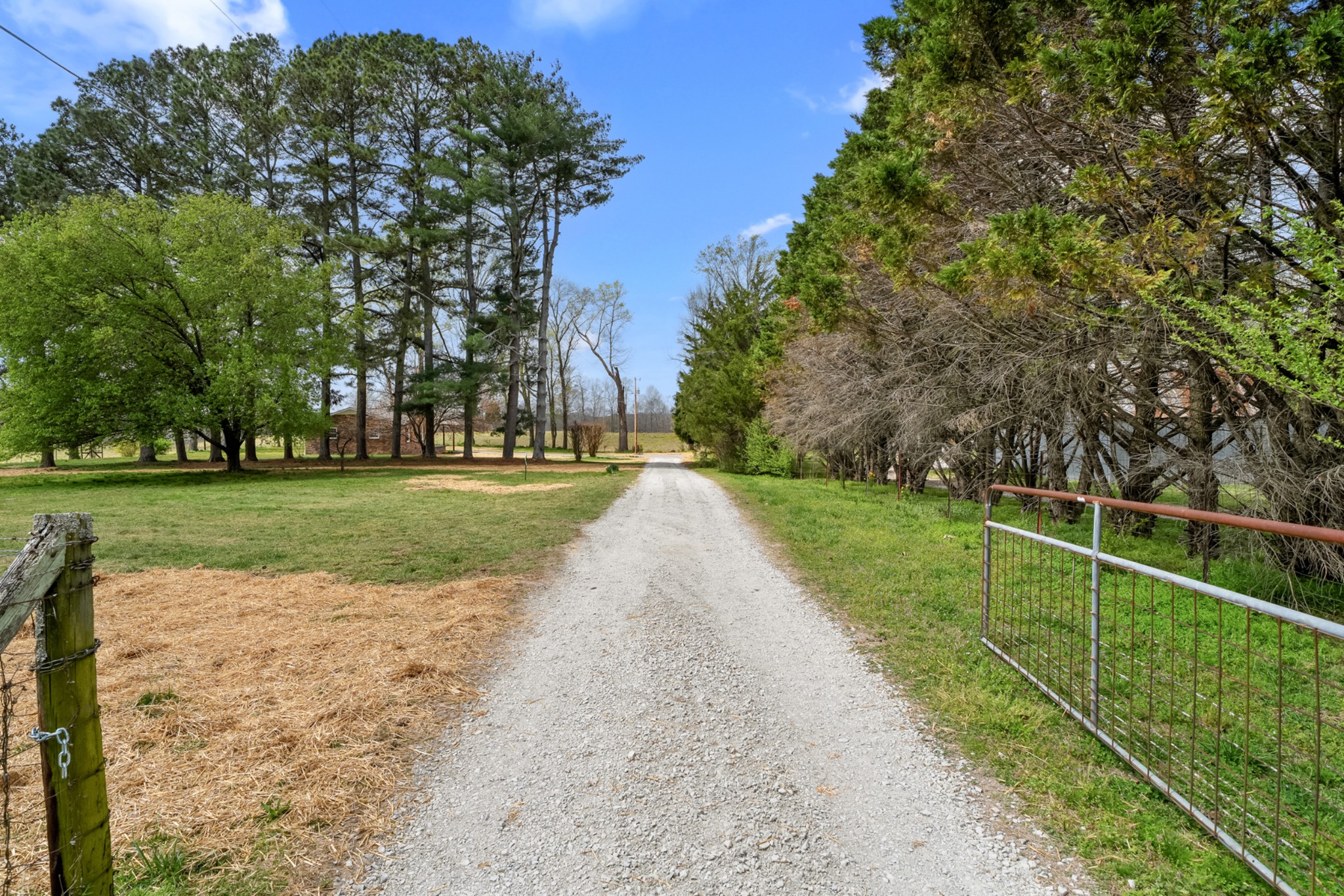 151 Robert Branch Drive