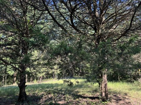 0 Lunns Store Rd Chapel Hill TN 37034