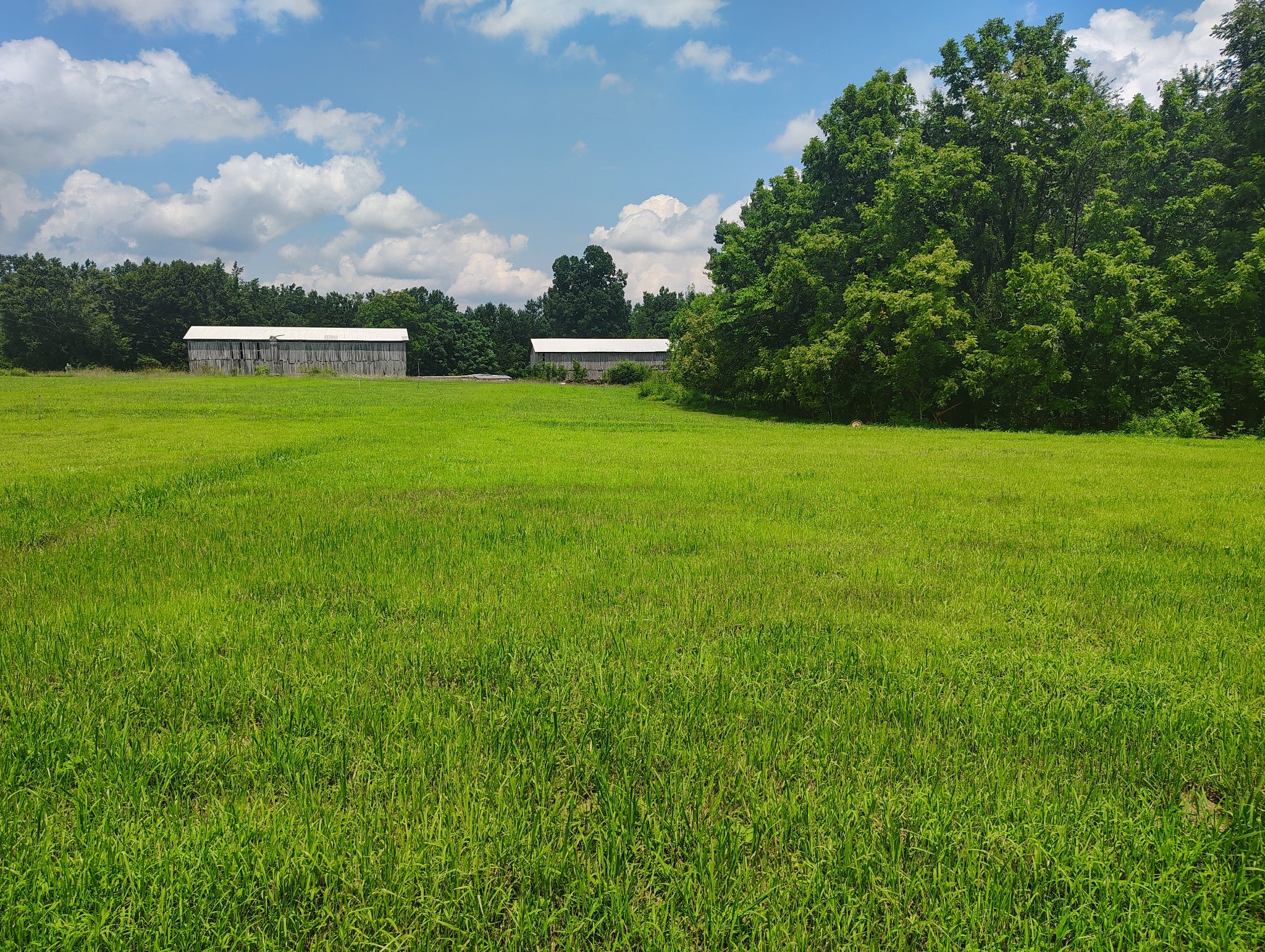 1164 Shiloh Road