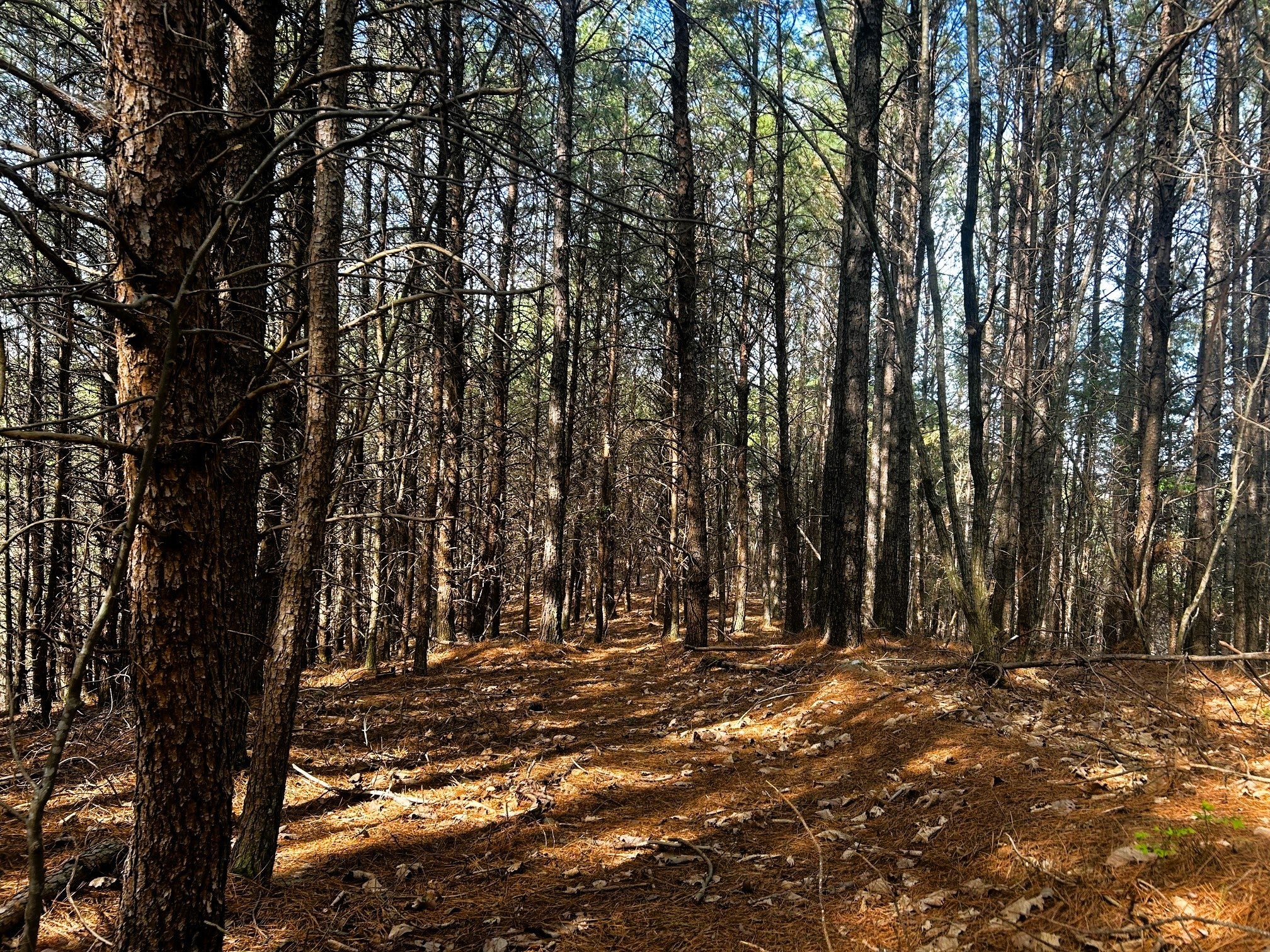 0 Owl Hollow Road SW
