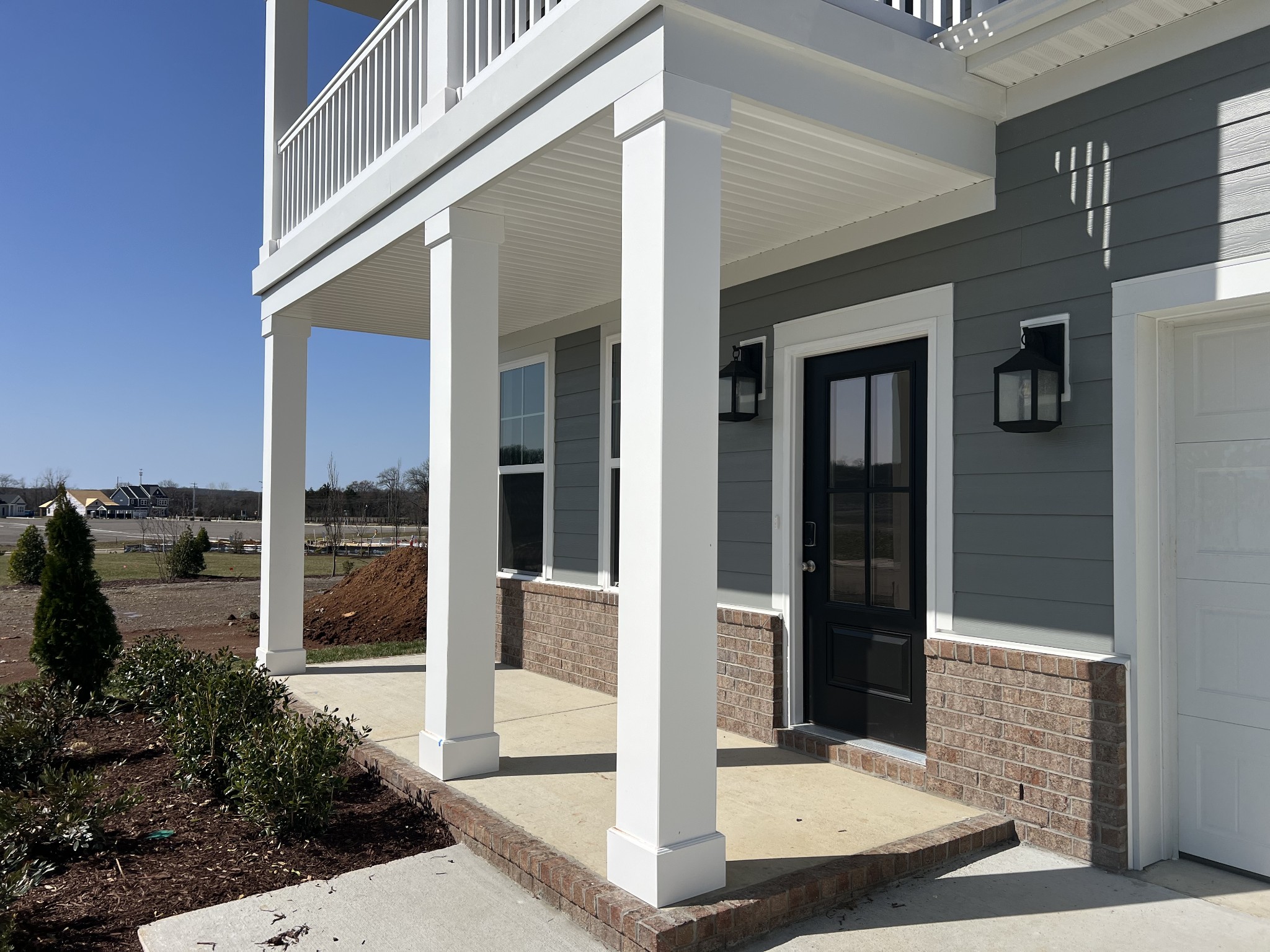 4162 Dream Beetle Loop