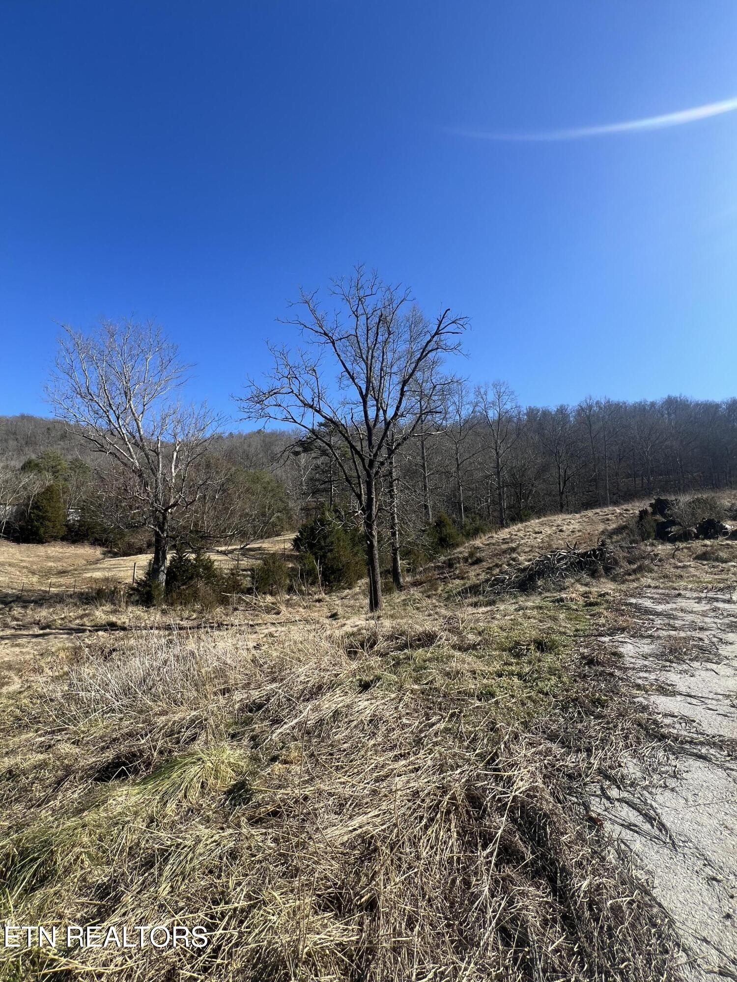 0 W Brushy Valley Drive
