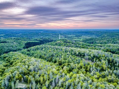 920 Mason Bates Bend Rd, Centerville, TN 37033 - MLS#: 2820732