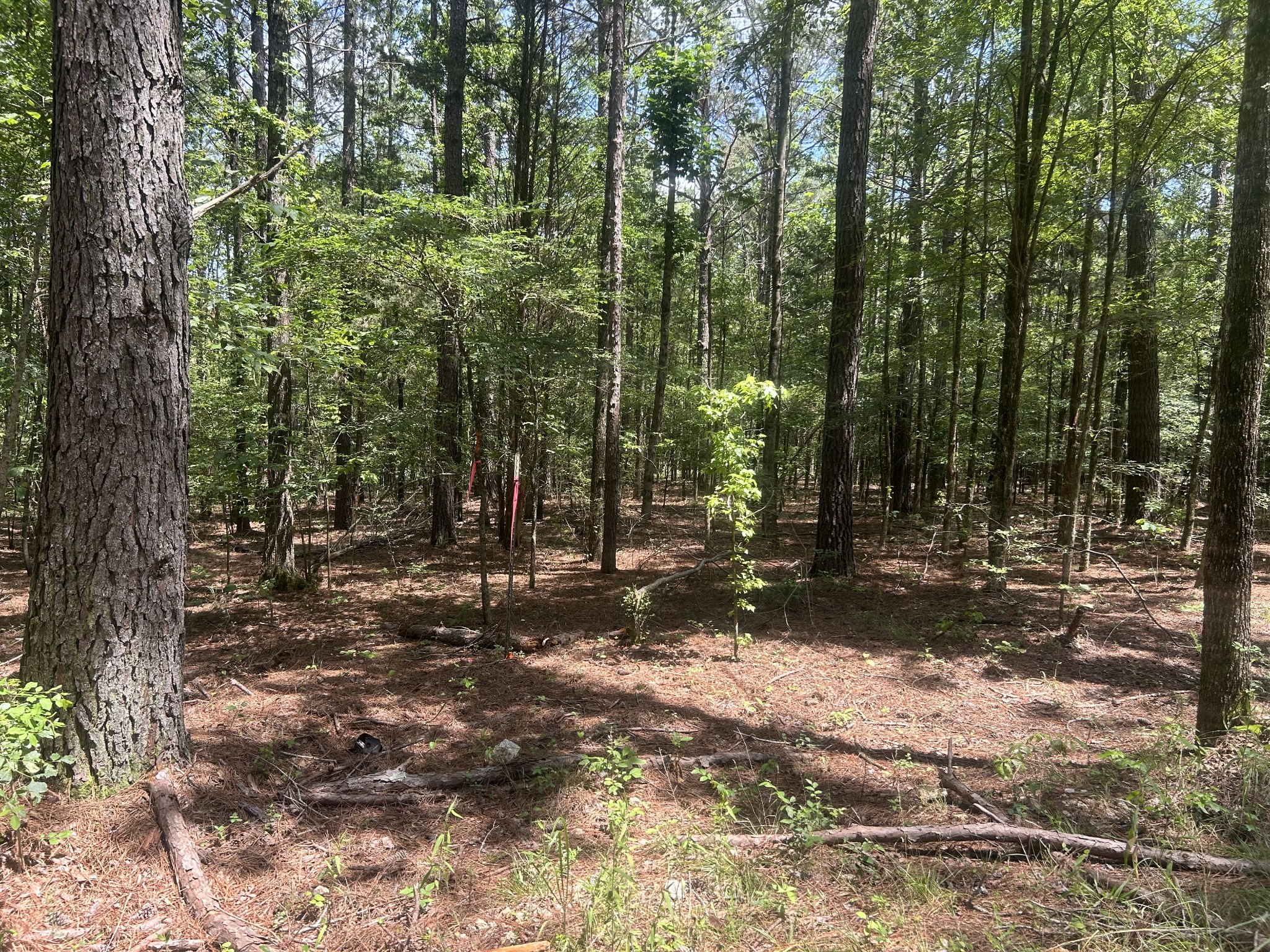 220 Raintree Dr