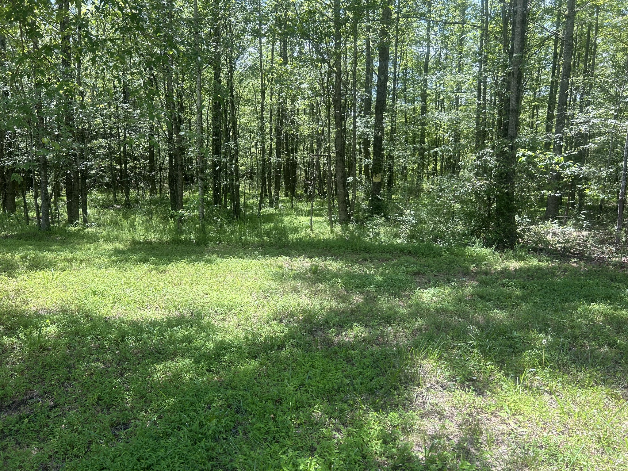 220 Raintree Dr