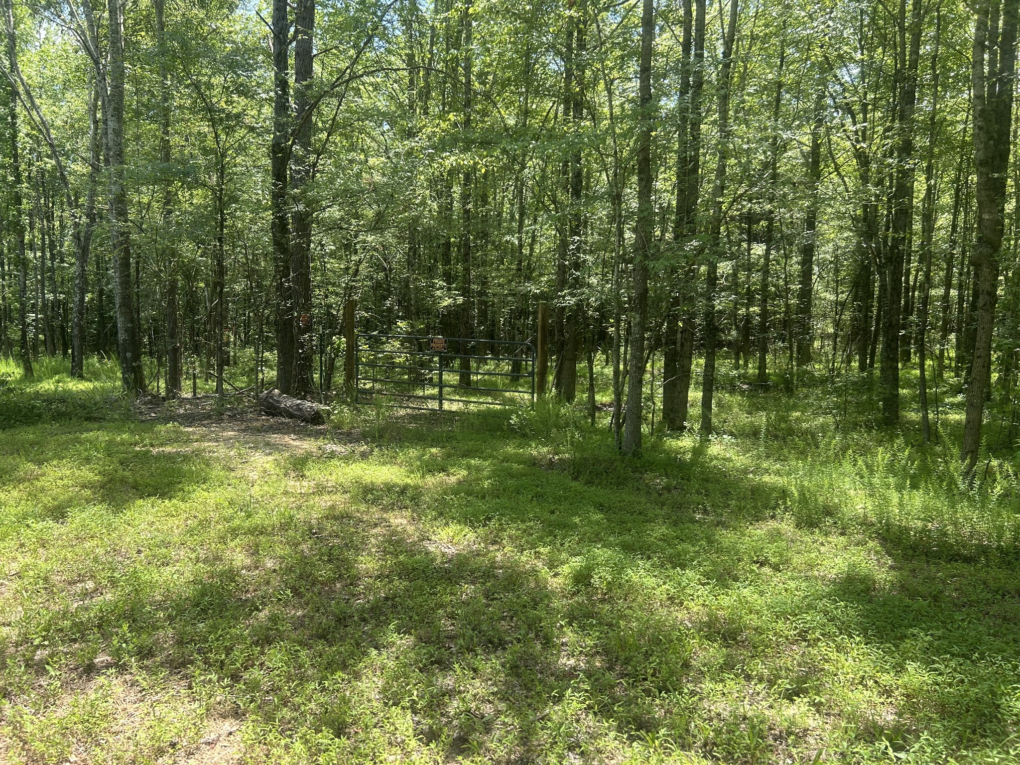 220 Raintree Dr