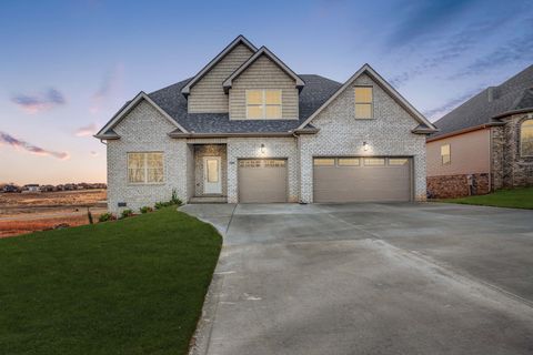 871 Shady Bluff Trail Clarksville TN 37043