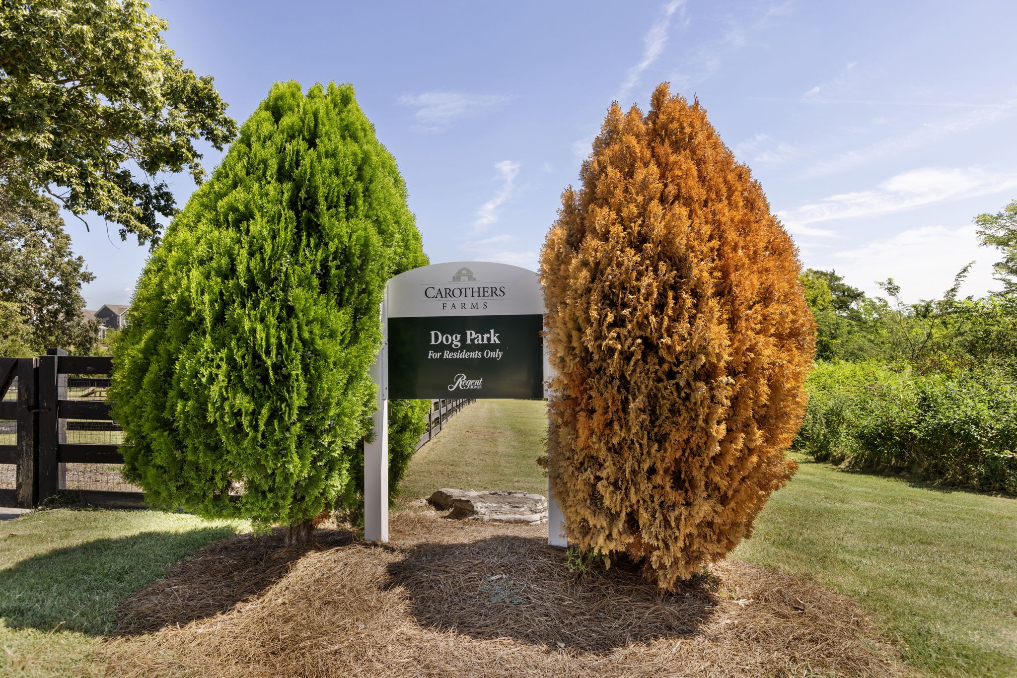 Nolensville, Tennessee 37135, United States, 2 Bedrooms Bedrooms, ,3 BathroomsBathrooms,Residential,Active,199550