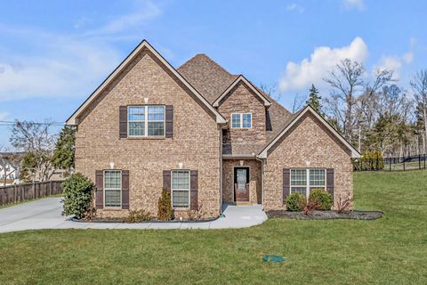 1006 Cascadeway Dr, Murfreesboro, TN 37129 - MLS#: 2802369