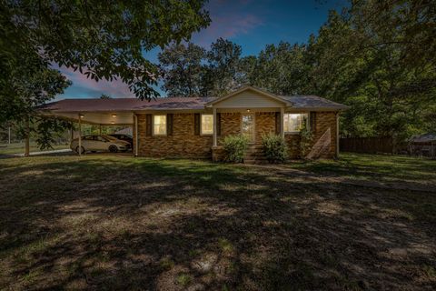Photo of 2210 Vineyard Field Dr, Centerville, TN 37033 (MLS # 3012703)
