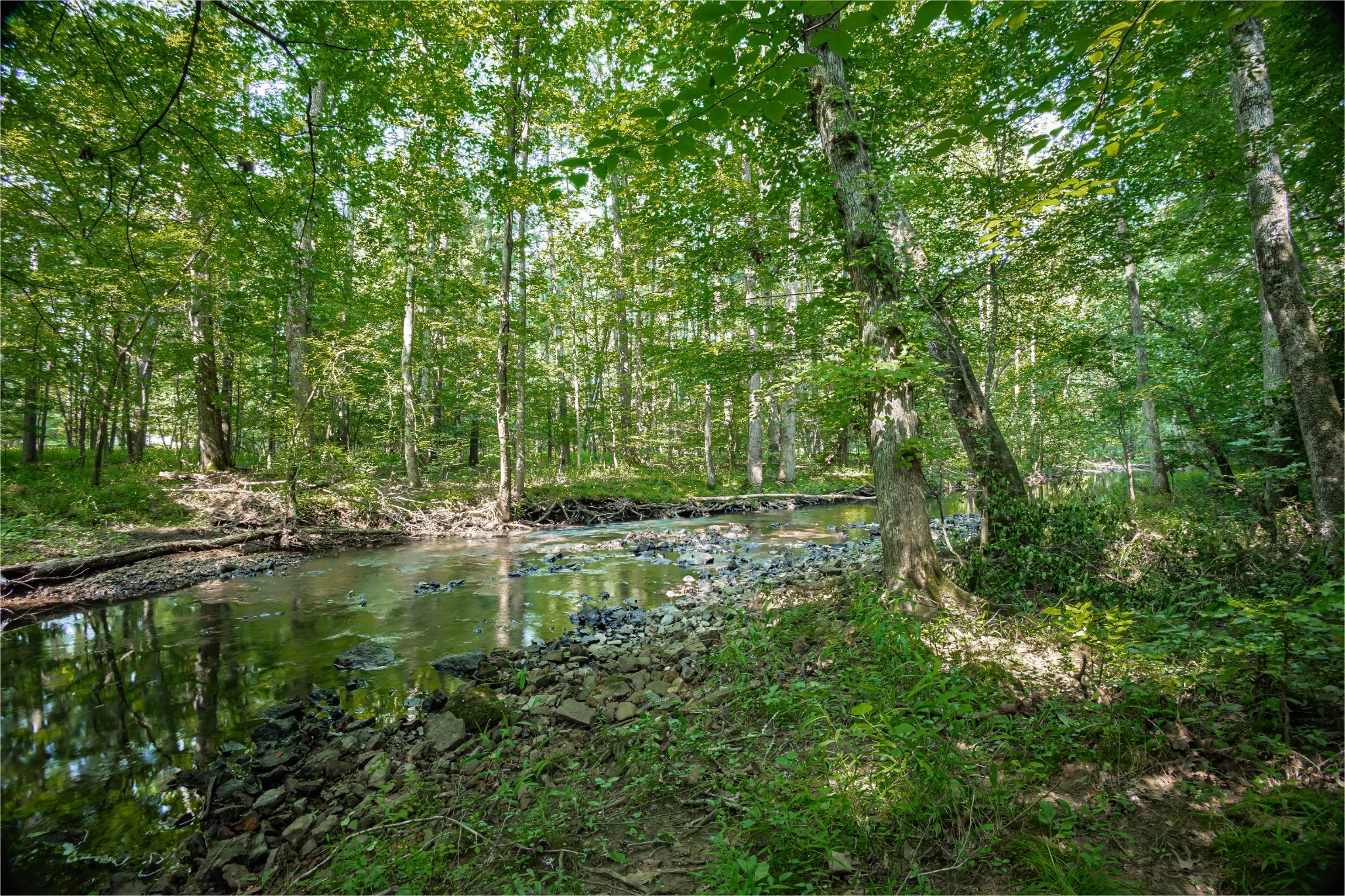 200 Bob White Dr