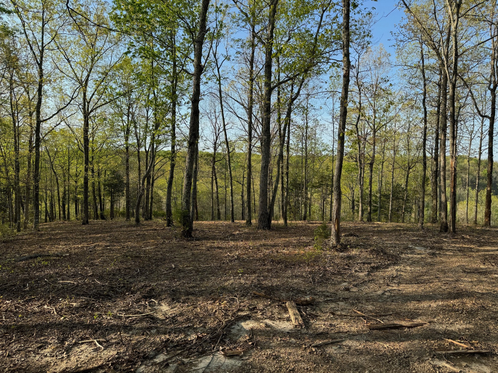 0 Roan Creek Rd