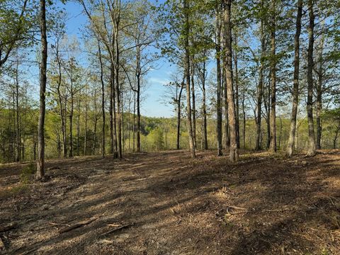 0 Roan Creek Rd Lobelville TN 37097