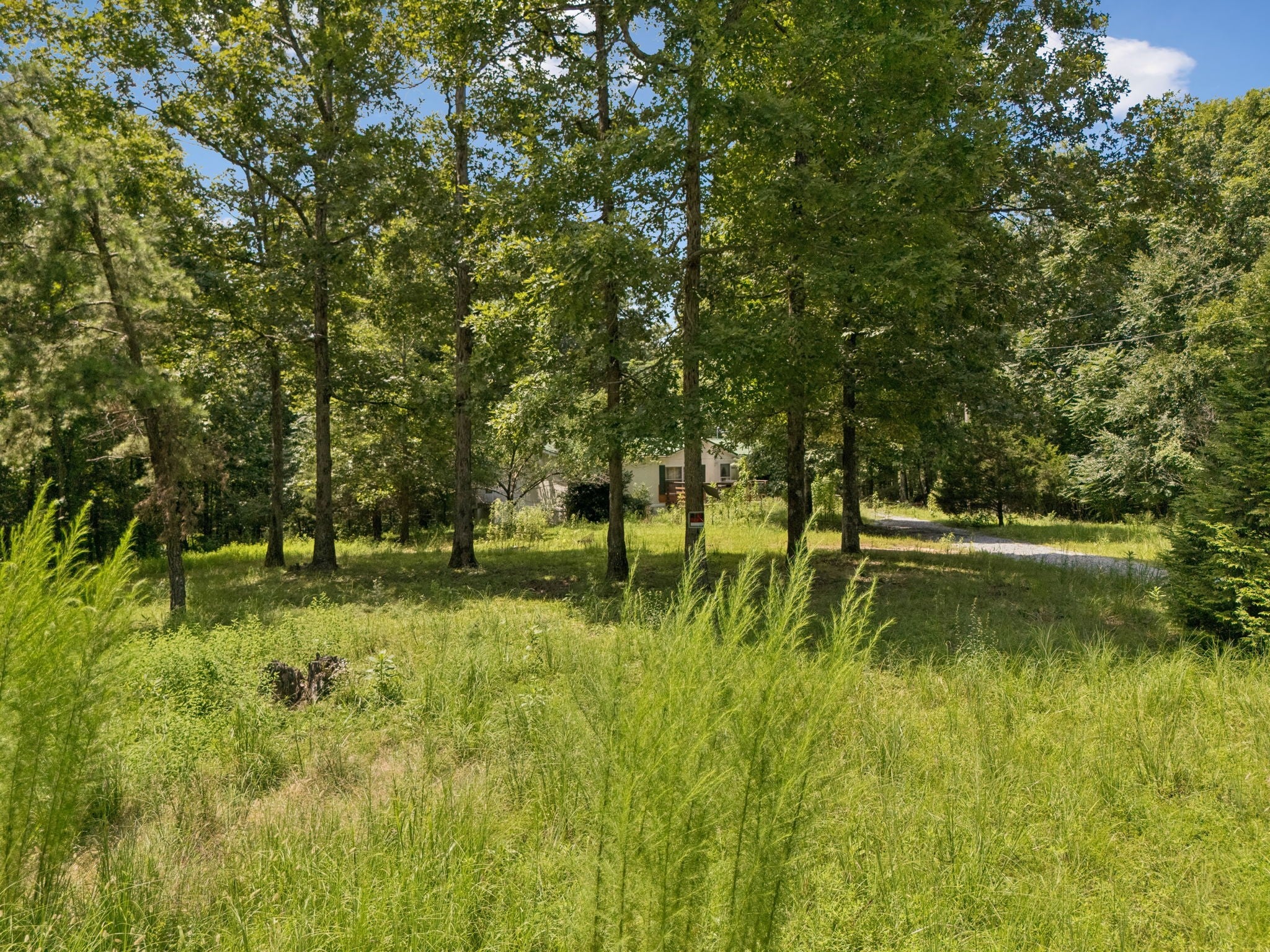 12007 Woodland Trl