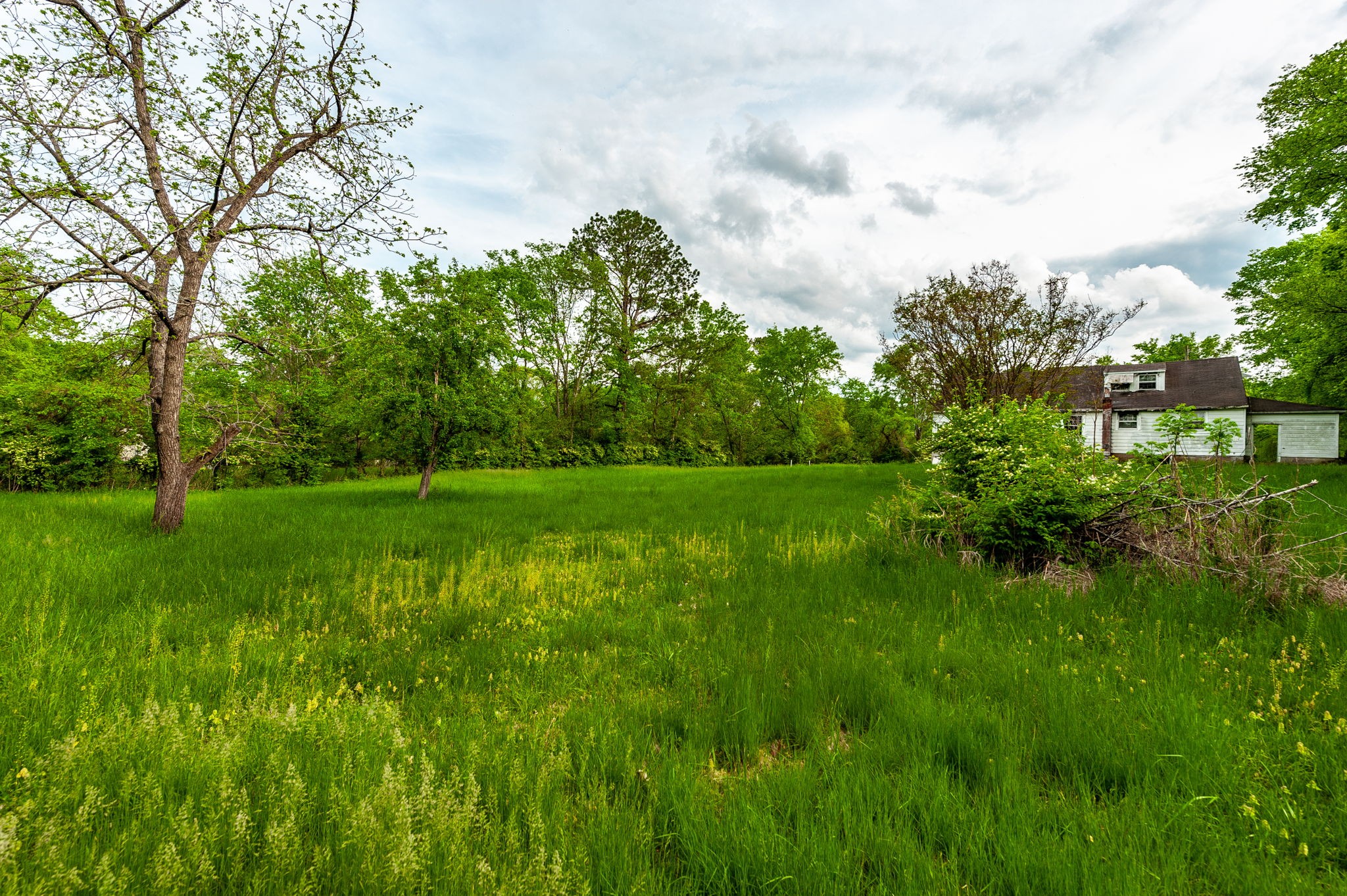 128 Plumlee Dr