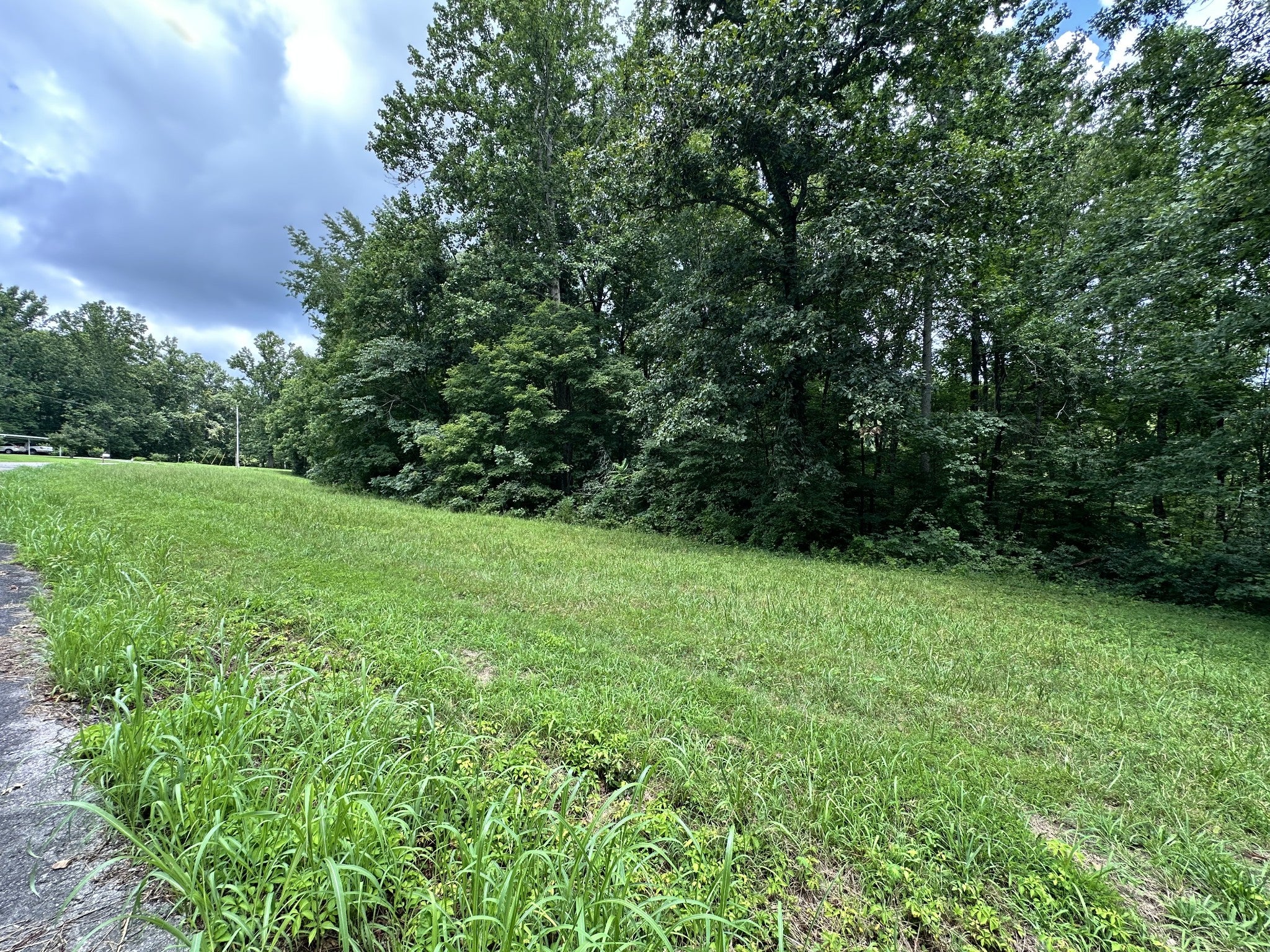 0 Les Hughes Rd, Fairview TN 37062 0-bed lot, photo 5 of 44