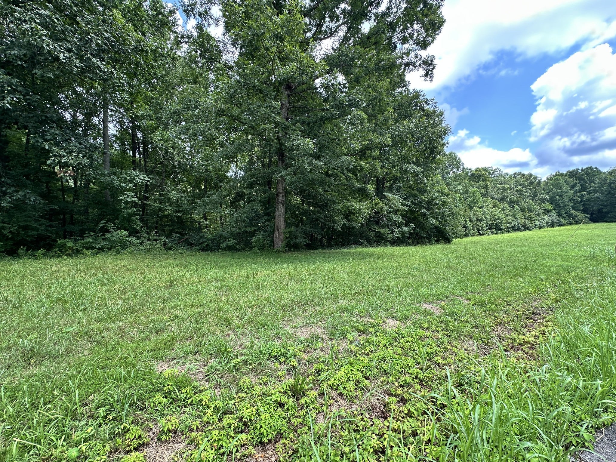 0 Les Hughes Rd, Fairview TN 37062 0-bed lot, photo 4 of 44