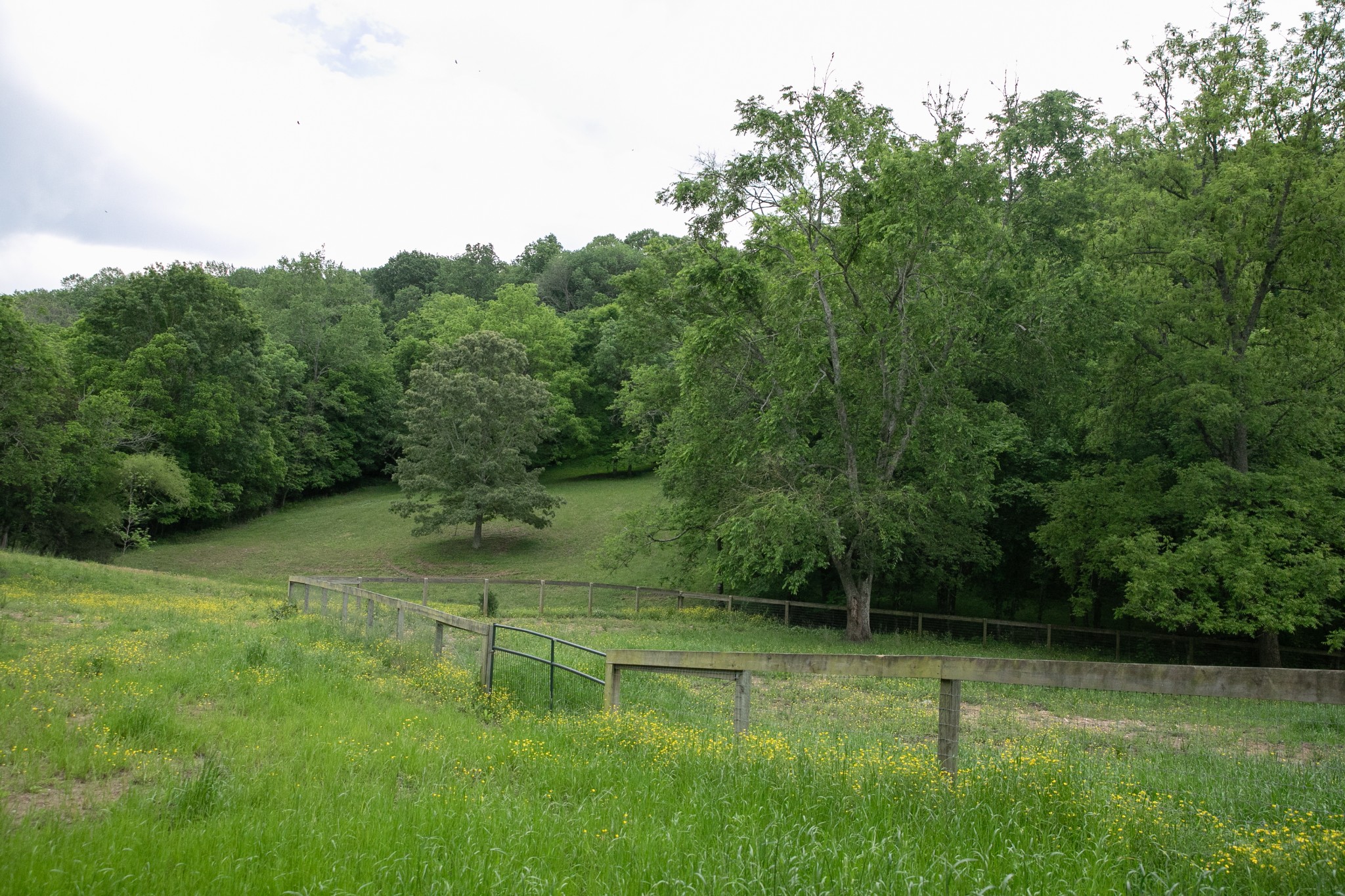 4923 Blue Creek Rd