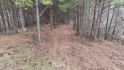 2932 Old Hohenwald Rd Linden TN 37096