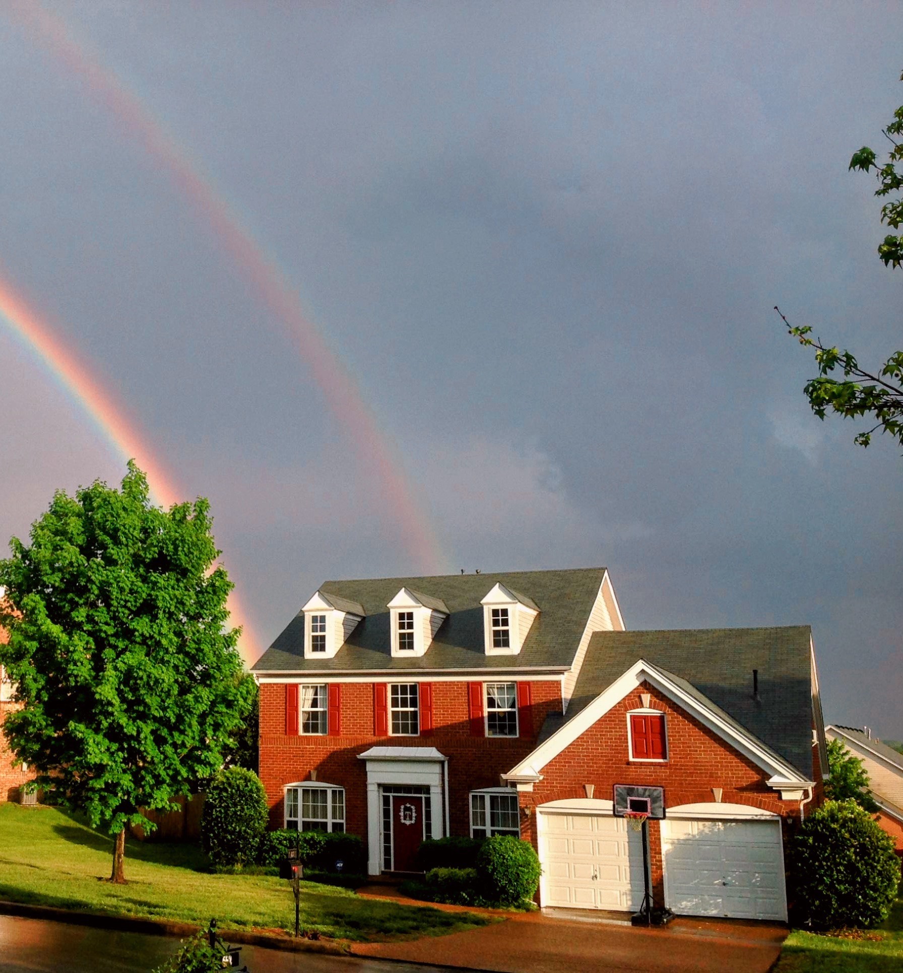 637 Logwood Briar Cir