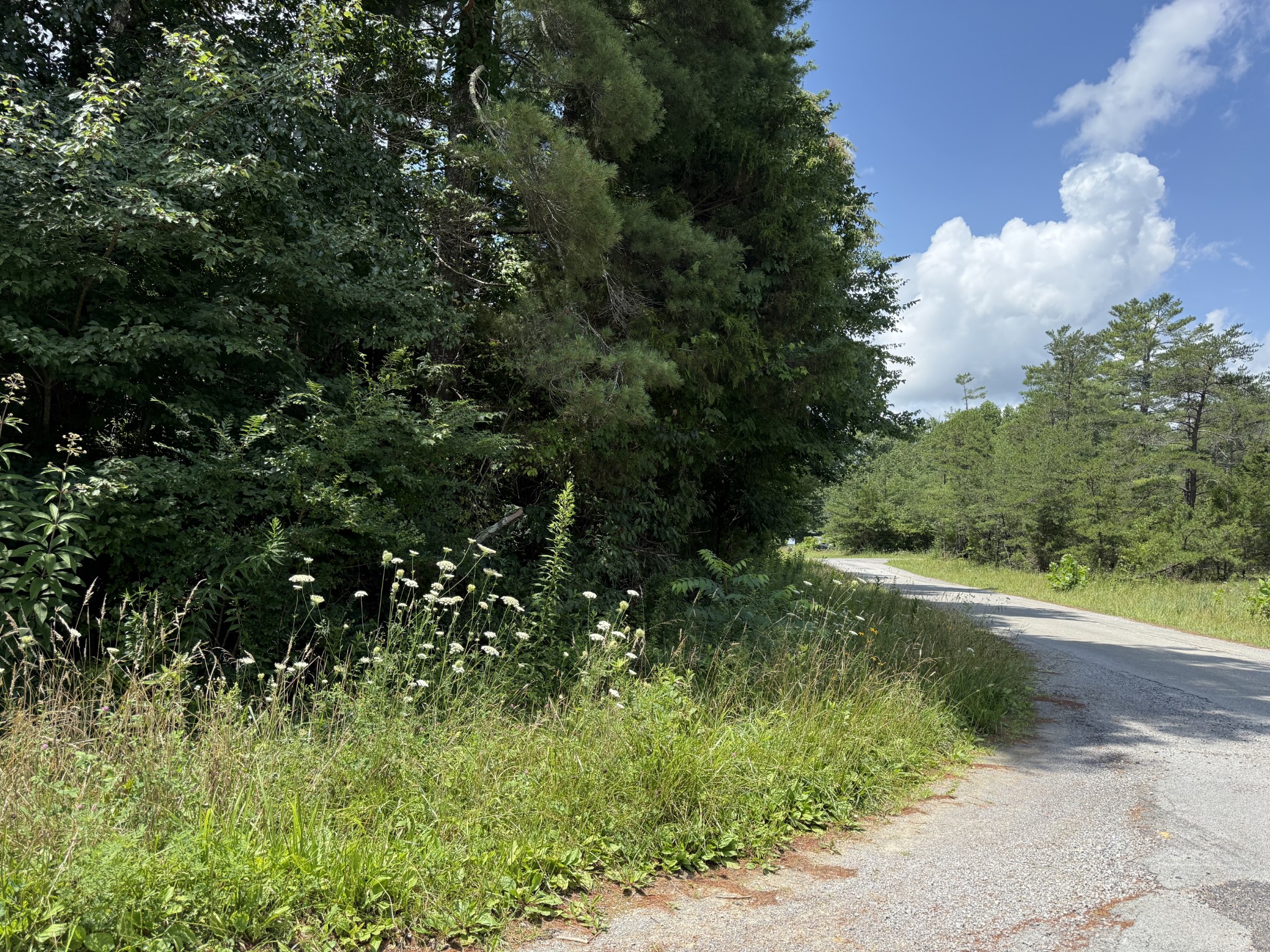 Photo 1 of 3 — 827 Spokane Ln, Crossville, TN 38572
