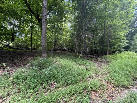 0 Old Stage Rd Dickson TN 37055