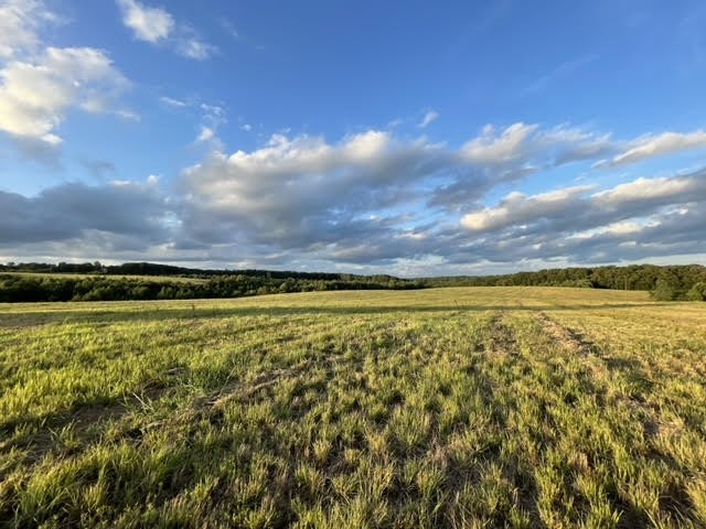 2505 Summer Oaks Cir