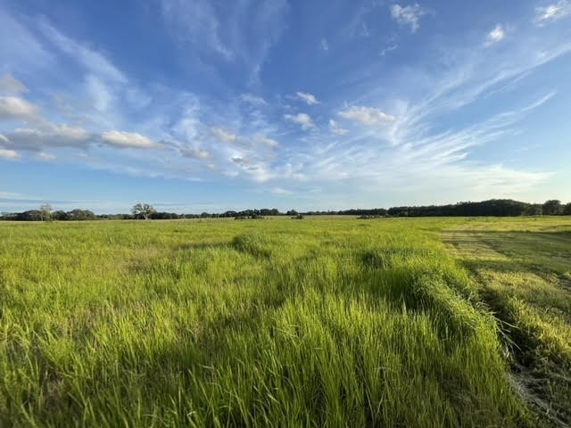 2505 Summer Oaks Cir