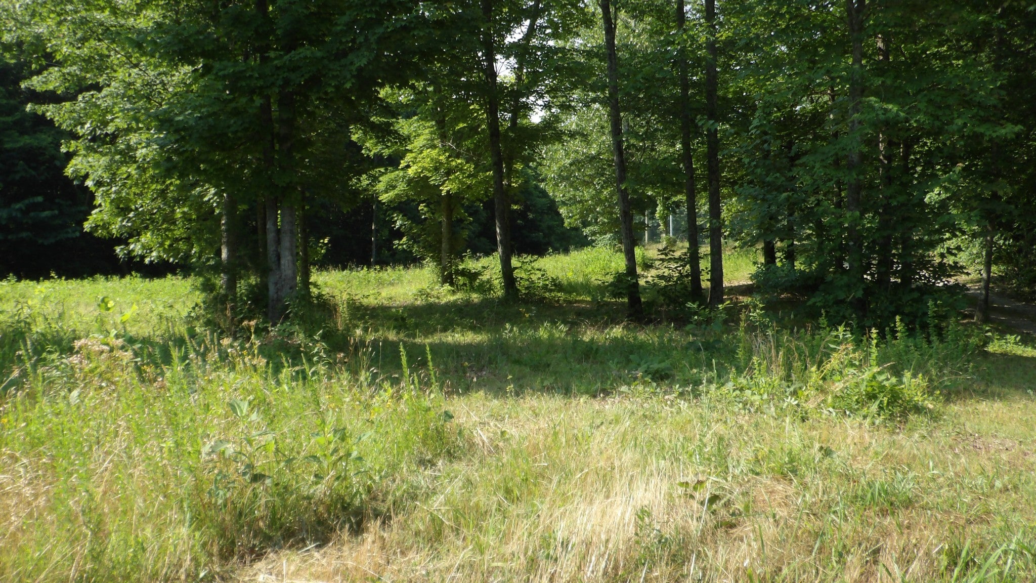 580 Pleasant Cemetery Lane